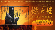 综合99