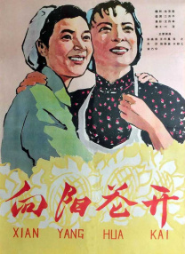 国一线产区和二线产区